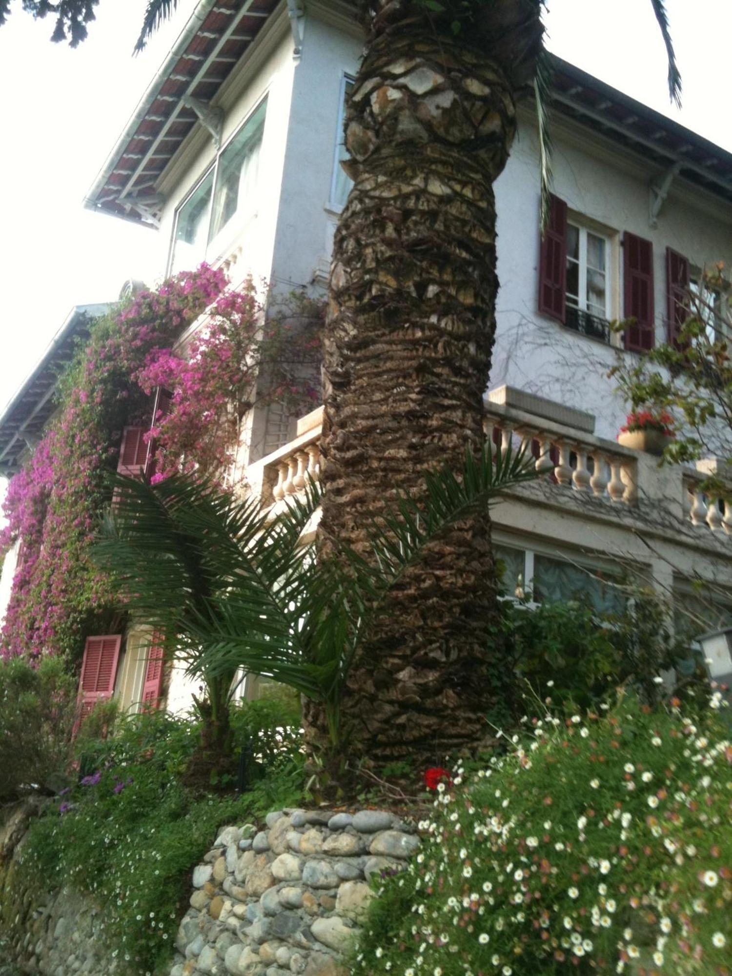 Castel Enchanté Nice Extérieur photo
